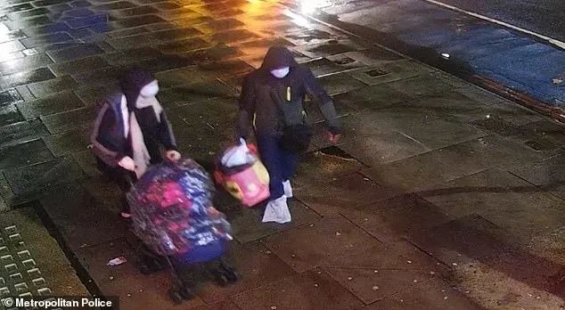 英國貴族千金愛上強姦犯，私奔消失數年後，如今帶著娃出現了