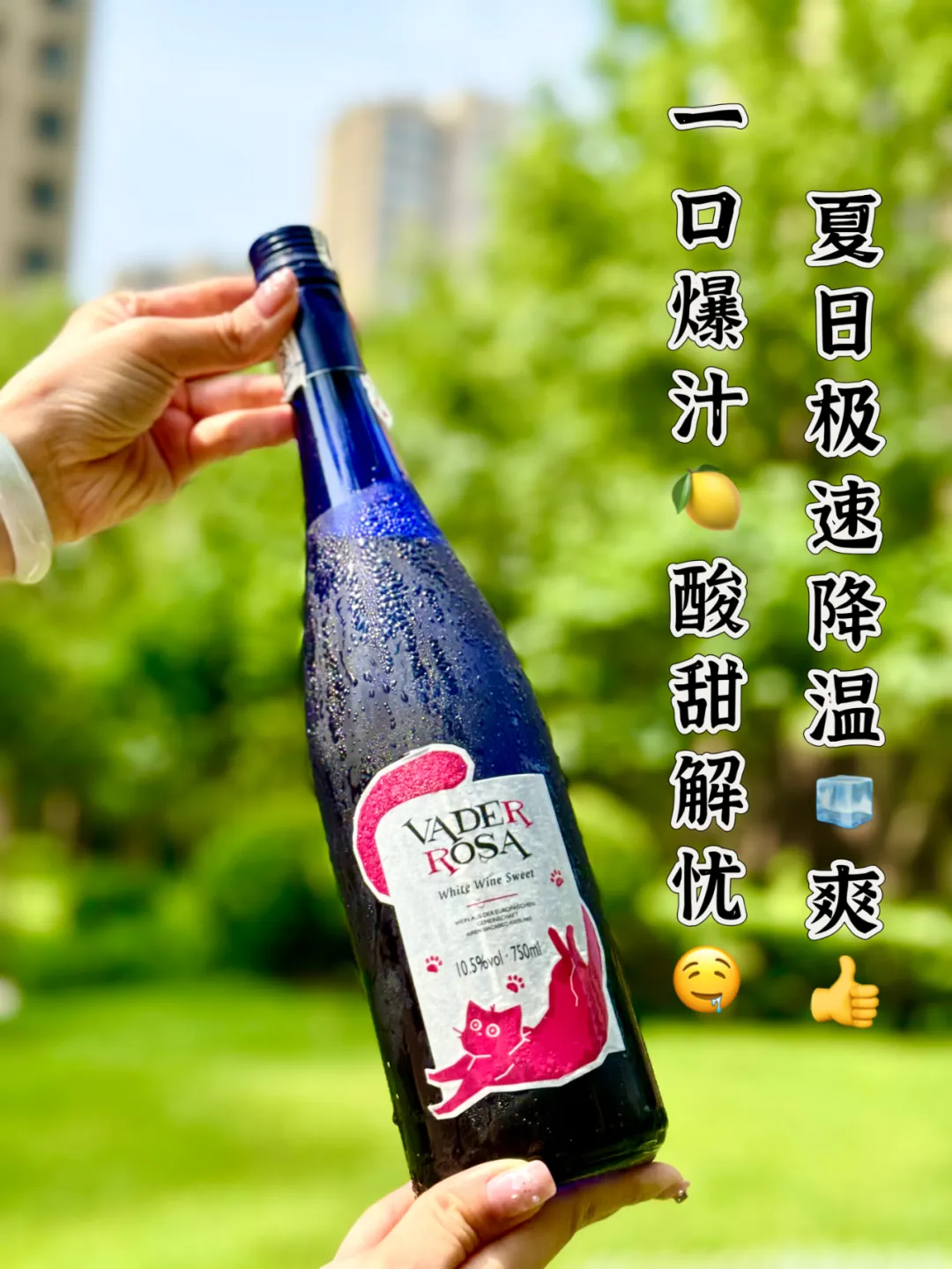 全球市場遇冷！德國含淚清倉，米其林雷司令甜白，只賣幾十塊！