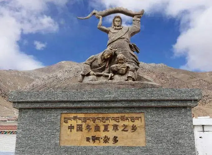 “天價蟲草”跌落神壇，這個藏民小夥兒，在全國火了….