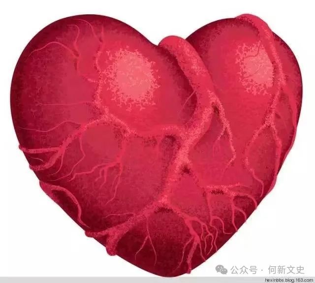 何新《說文改錯》選：對“心”與“囟”字的千年誤讀