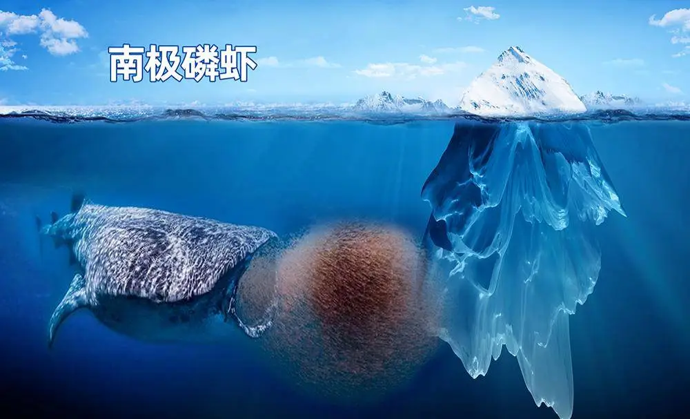早上空腹喝水，比不吃早餐危害還大？起床後，千萬不要忘記吃魚油