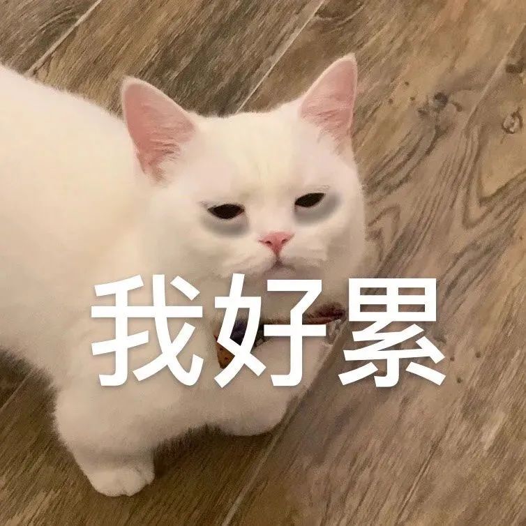 我真的不懂，為啥總有人問營養素是不是智商稅？