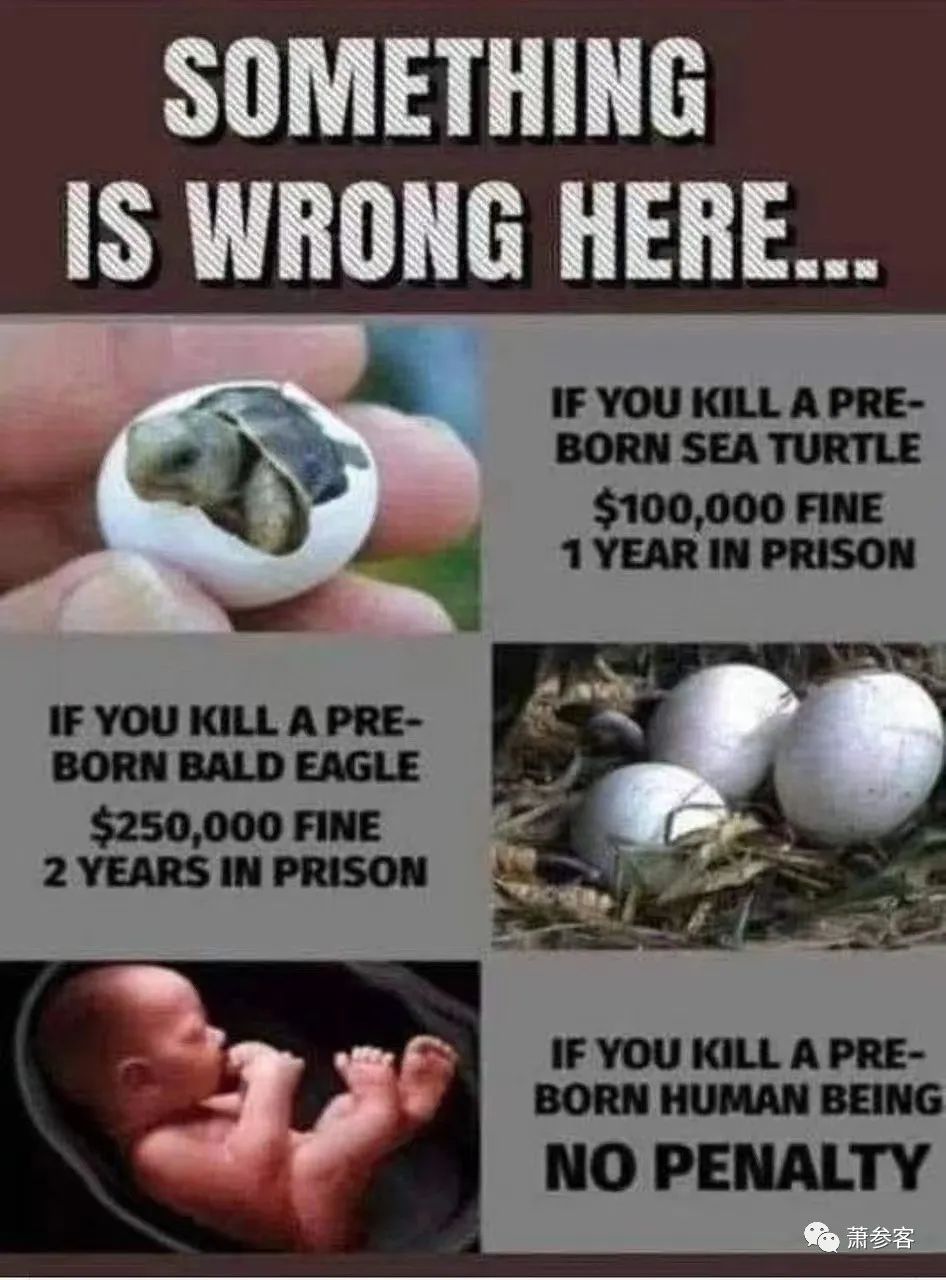 如果你殺了一個未出生的人，為什麼沒有任何懲罰？