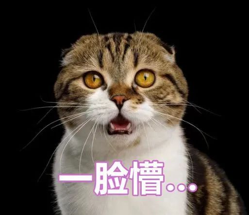 商場賣不掉的衣服都去哪兒了？有了這個渠道後…幾十塊買一堆！