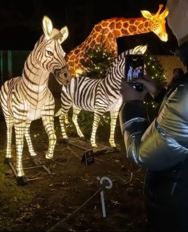 【到此一遊】紐約假期季節這個好玩，野生動物獵遊燈光秀！！！
