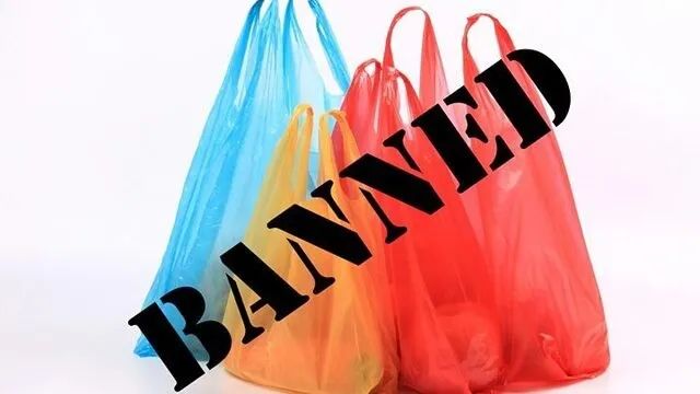 【到此一遊】紐約開始禁塑膠袋，這家商店每樣東西都是塑膠袋做的喲！！！