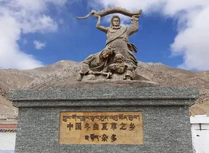天價蟲草跌落神壇，這個叫贈伊的姑娘在全國火了….