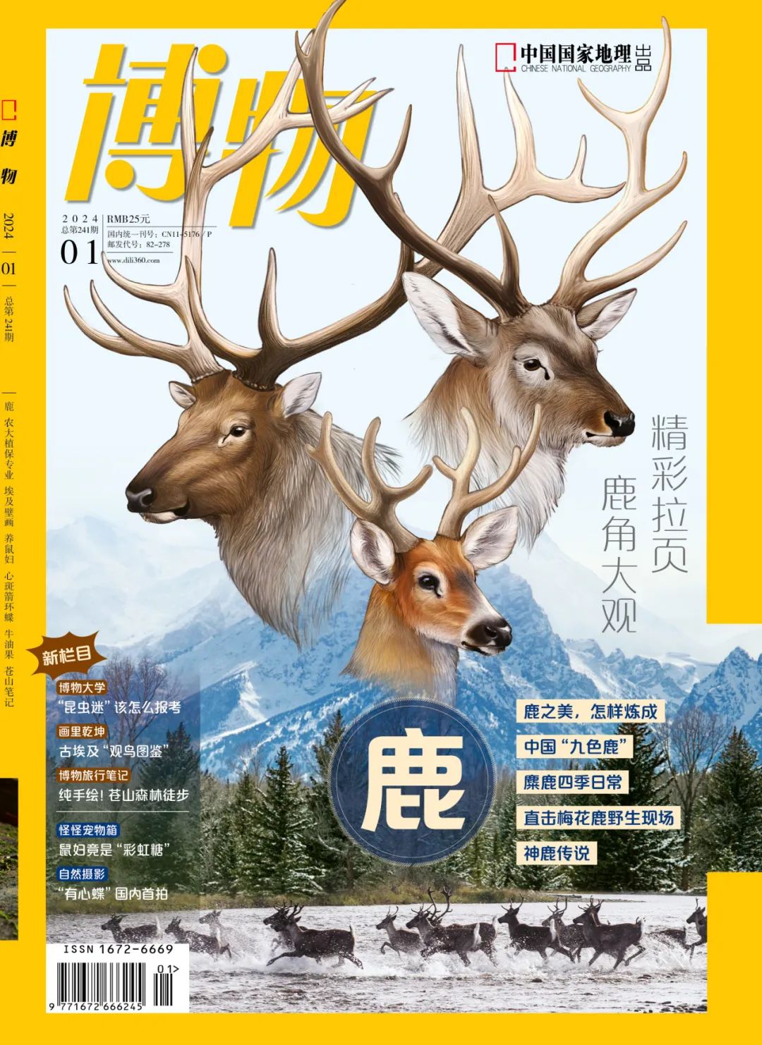 龍年了，那就讓我們來說說鹿