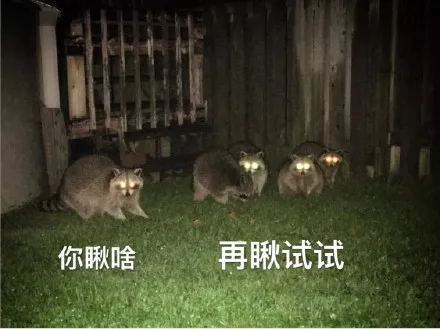 挑戰生理極限！看完頭皮發麻！為什麼每年很多人抱怨在家能聞到一股大麻味！