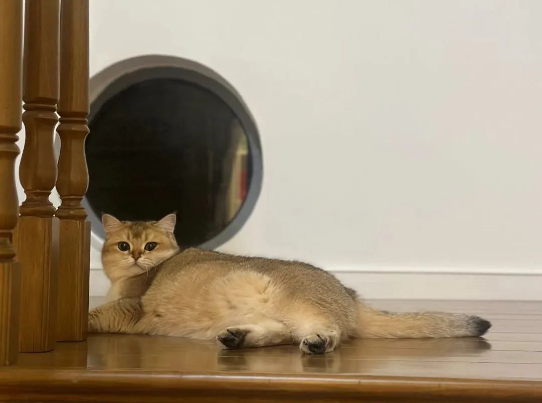 記一次猶如雪山登頂般的陪考經歷