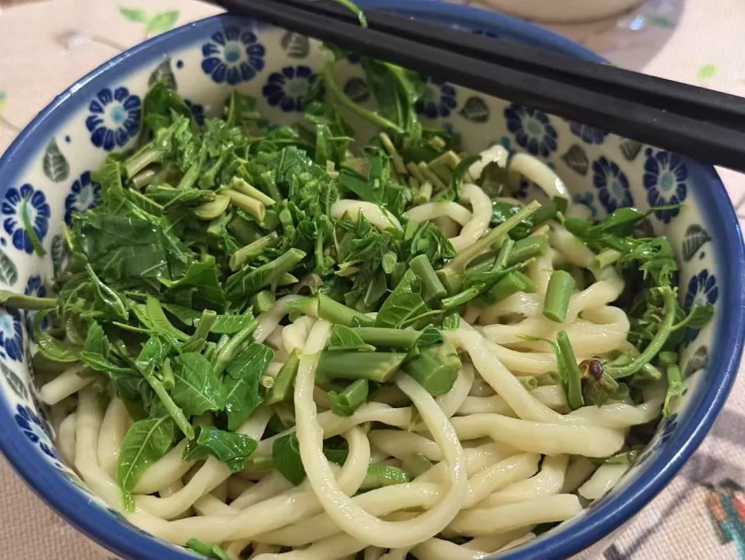 春天的夜裡，我去北京一個朋友家吃飯