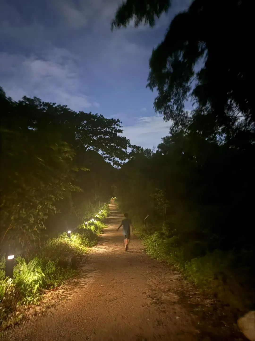 斷電後的公園奇妙夜｜熱帶一家人44
