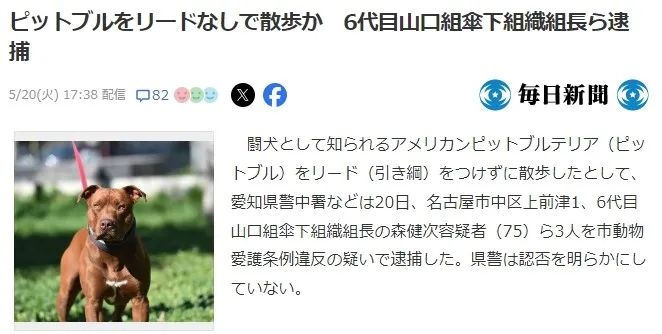 日本黑幫組長被捕，因為遛狗不牽繩？網友群嘲：小學生智商