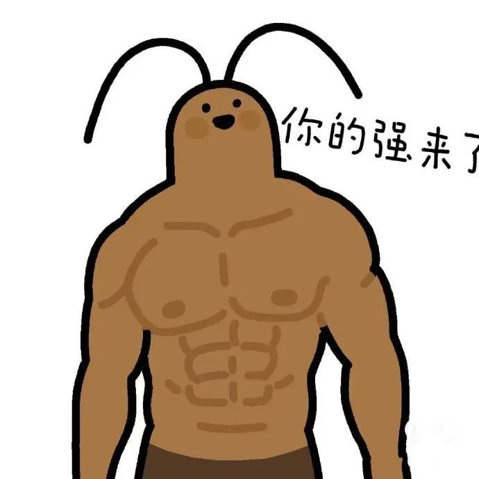 男子頭頂蟑螂路過，好心人看到順手彈飛！他急了：那是我寵物？？