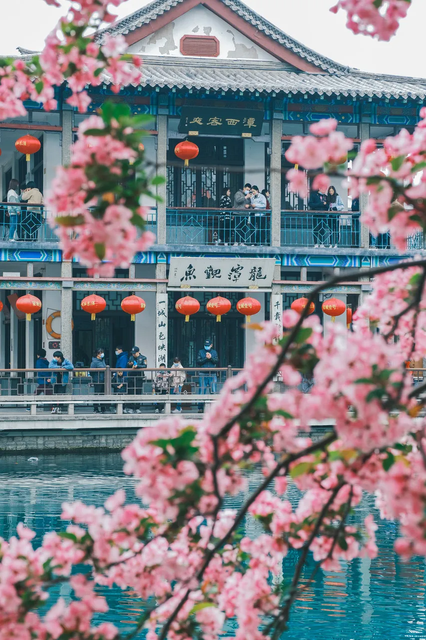 高鐵直達！中國唯一泡在泉水裡的城市，拒絕內卷，低調安逸，超適合養老！