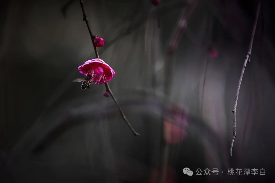 我們處在一個傳統婚姻崩潰的年代