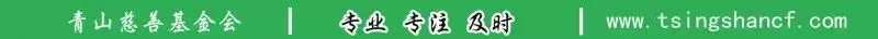 寓教山海穰穰滿鄉|共探鄉村教育振興新模式與新發展