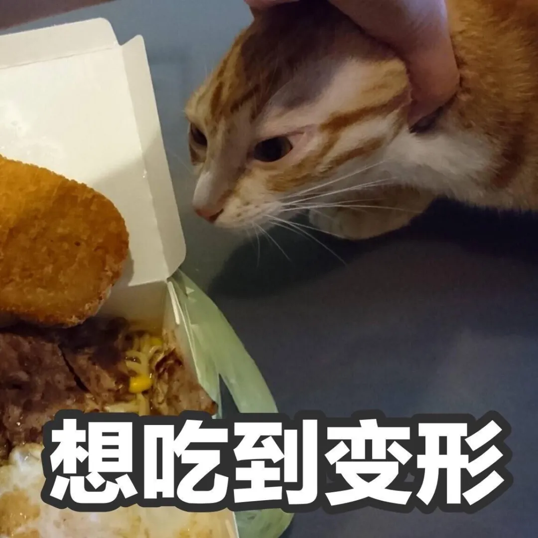 這些肉乾看著好土……但吃起來真香！
