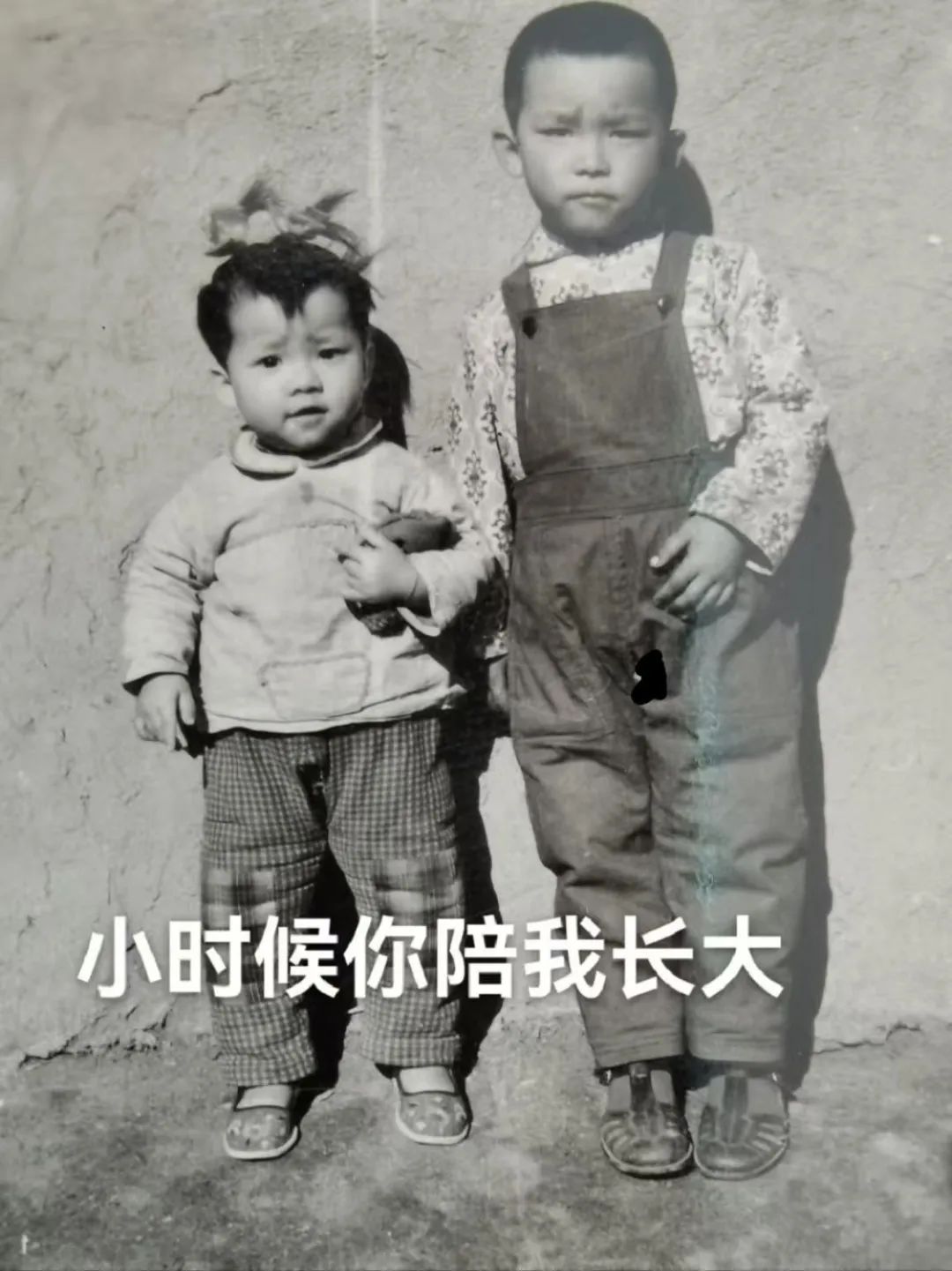 邢志強案：今生我們姐妹雖做不了你的鎧甲卻也能捨身護你周全