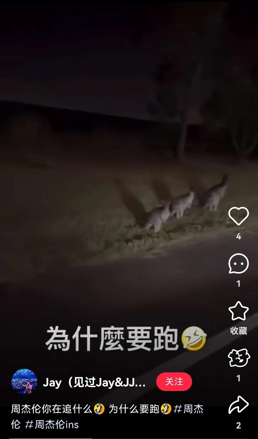 驚歎周杰倫和昆凌已經徹底融入澳洲父母日常了！