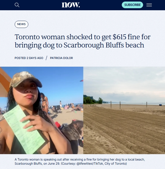 多倫多妹子震驚！帶狗去沙灘被開$615罰單！網友吵翻“但印度人能免費拉屎！？”