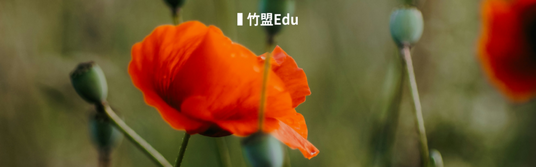 什麼？25Fall已經開始了？港新提前批已開放！