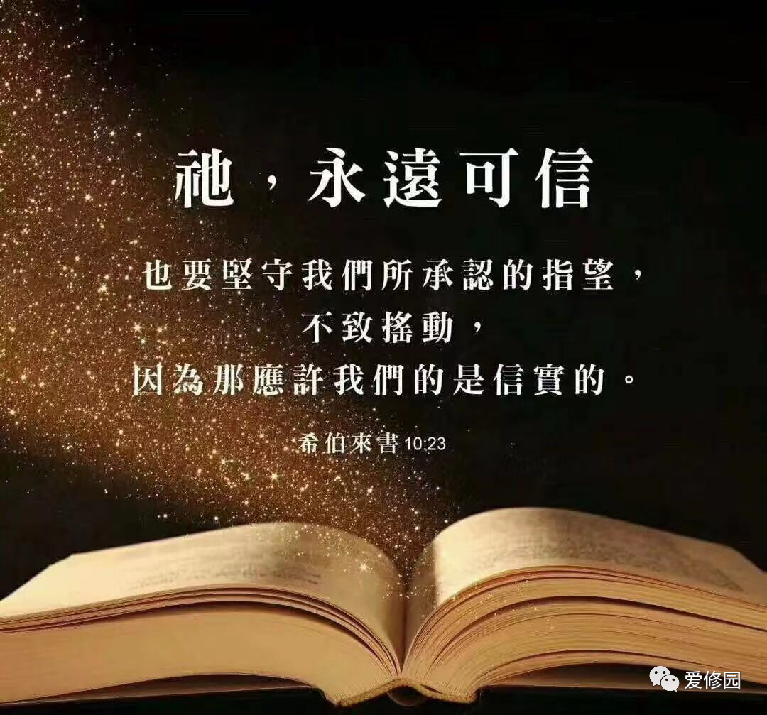 10句經文幫助你瞭解婚姻