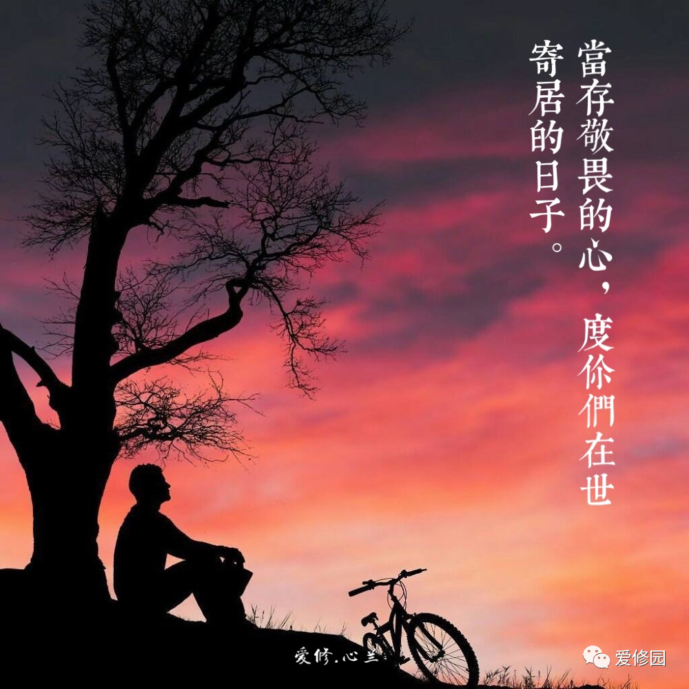 不向世俗妥協敢於逆流而上