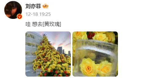 劉亦菲發文想要去的地方！曾比肩上海，浪漫不輸巴黎，每年卻有12w人“逃離”