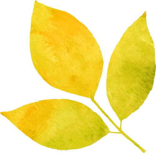 又一年按時提醒：摘蘋果季節又到了！