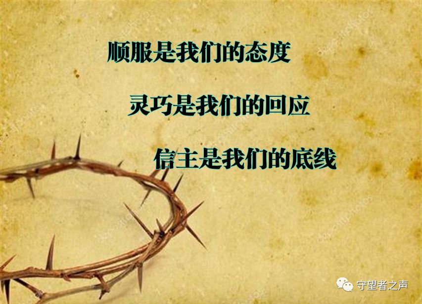 面對逼迫：順服是我們的態度，靈巧是我們的回應，信主是我們的底線…