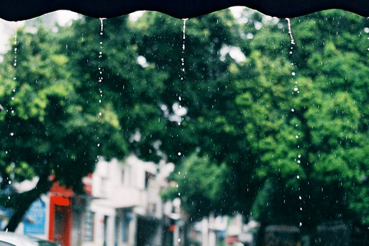 “穀雨，春天最詩意的告別”——你的穀雨朋友圈文案，來了