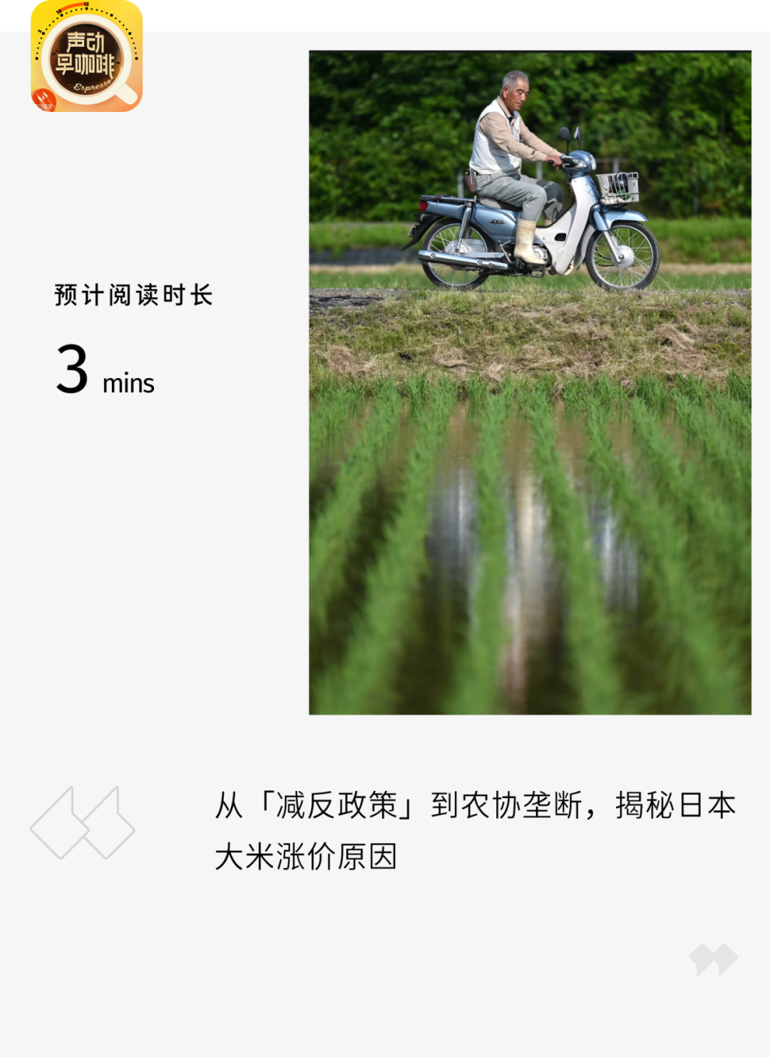 日本大米為什麼越來越貴？|聲動早咖啡