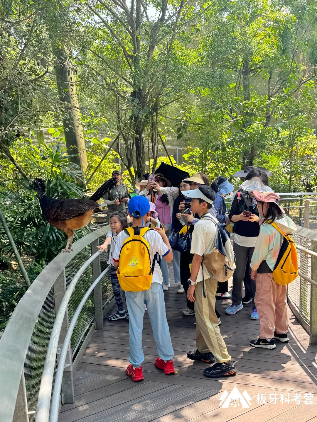 帶娃去了1次就認定，親子旅行天花板，非它莫屬！