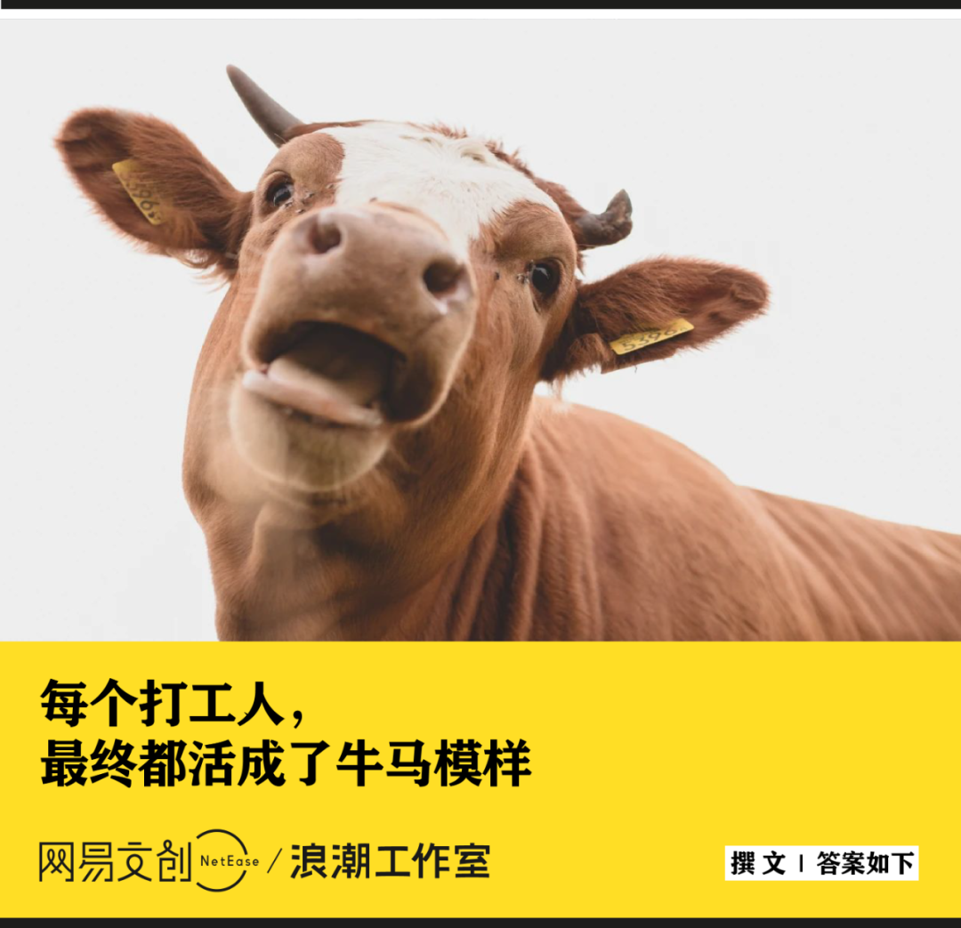 為什麼打工人都叫自己牛馬，卡皮巴拉不行嗎