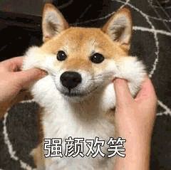 專業無好壞，但也分難易，有哪些美國大學專業最難學？