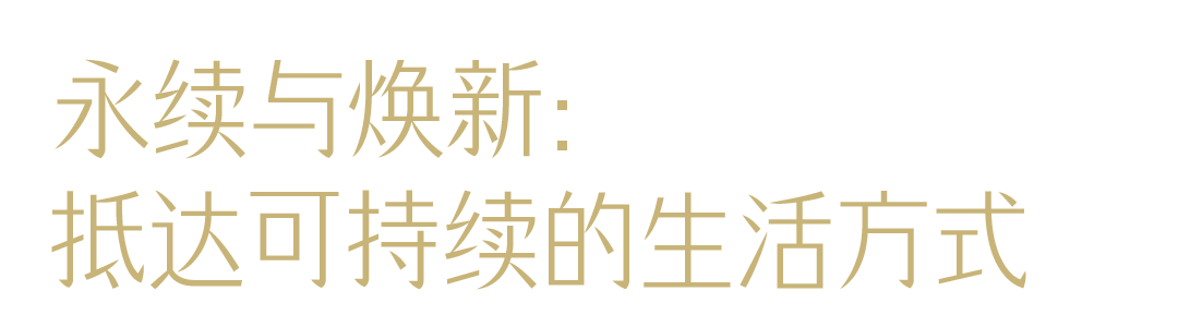 和朱珠、陳碧舸一起，在樹下聊聊天