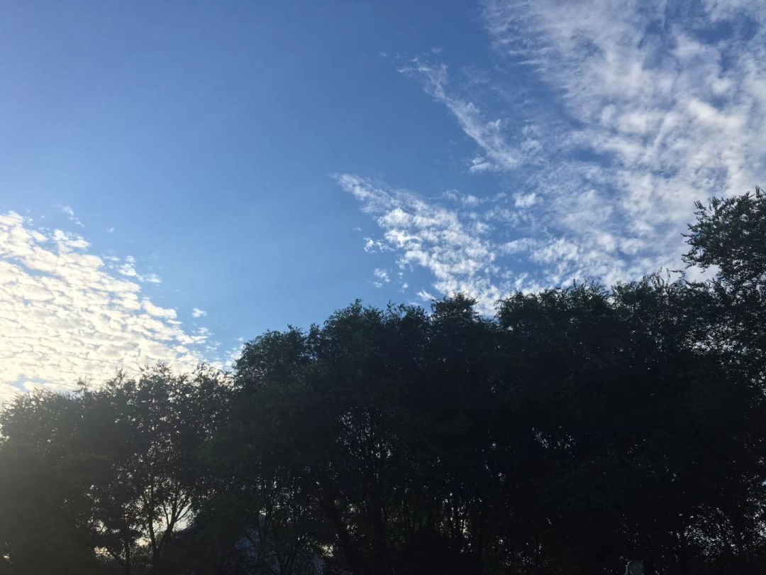 吳亦凡和錢楓事件後，我想跟你聊聊榜樣這件事
