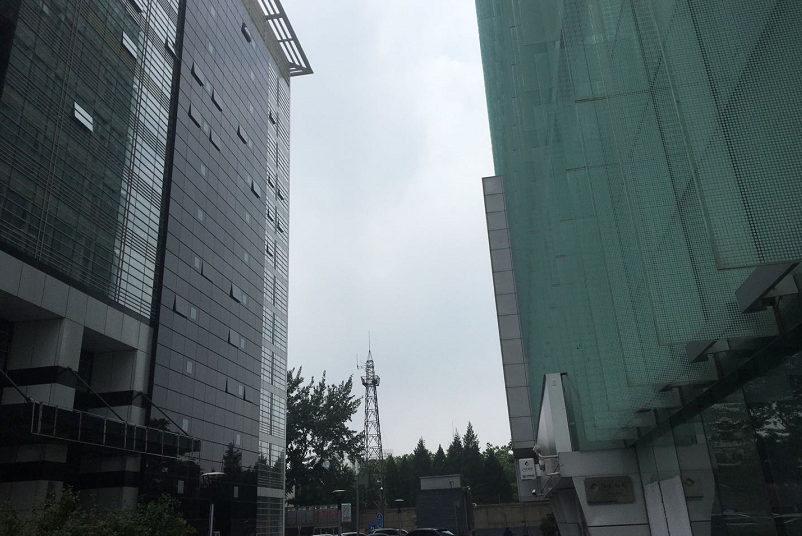 K12崩盤！教育VC緊急撤離