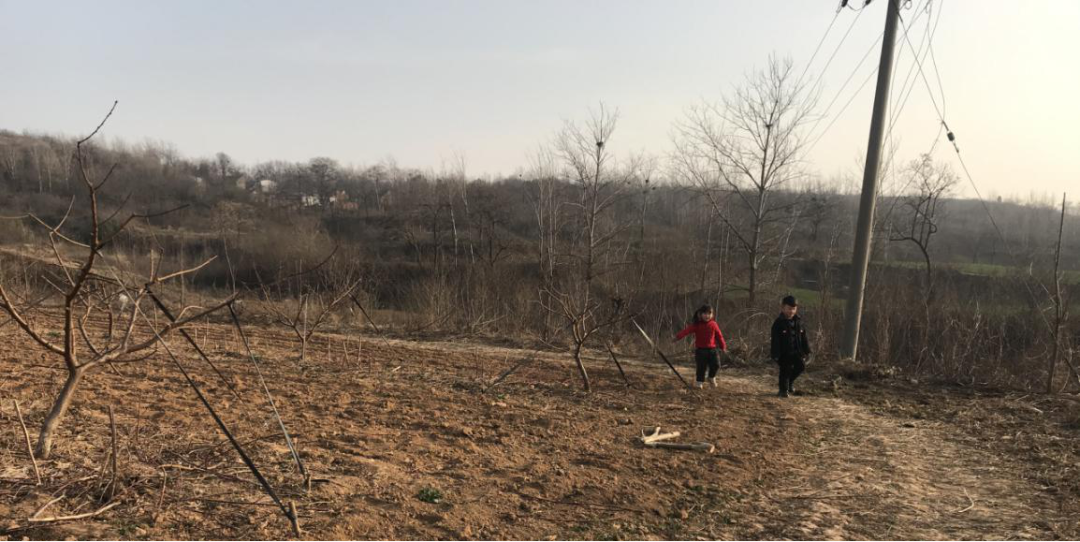 孩子的現場｜在姥爺的果園裡