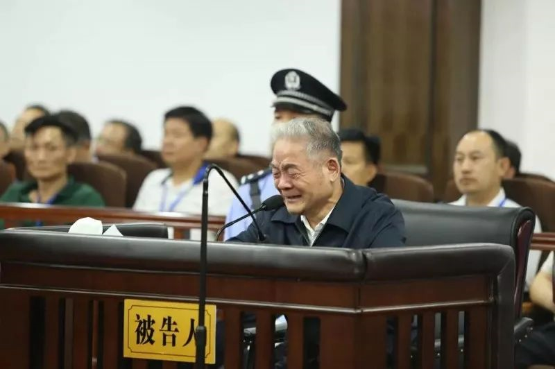 副部級，魏民洲的那些事