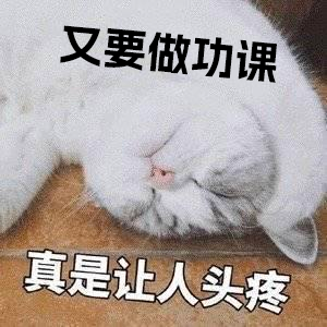 沒看過這篇，別輕易下單任何防曬！