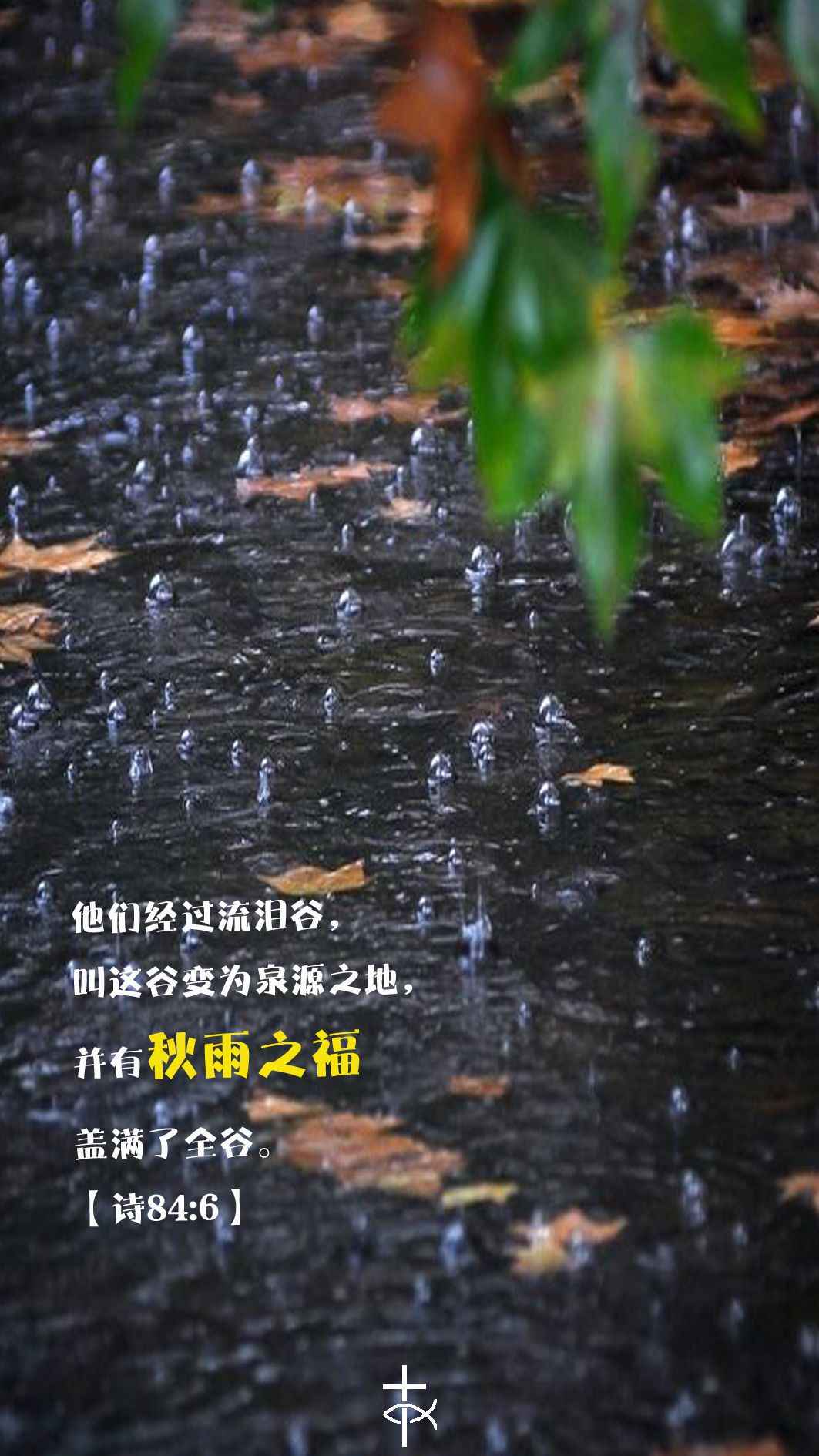 主日平安|秋雨之福