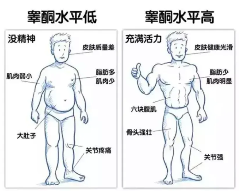 有“性張力”的男人，都有哪些典型特徵？？