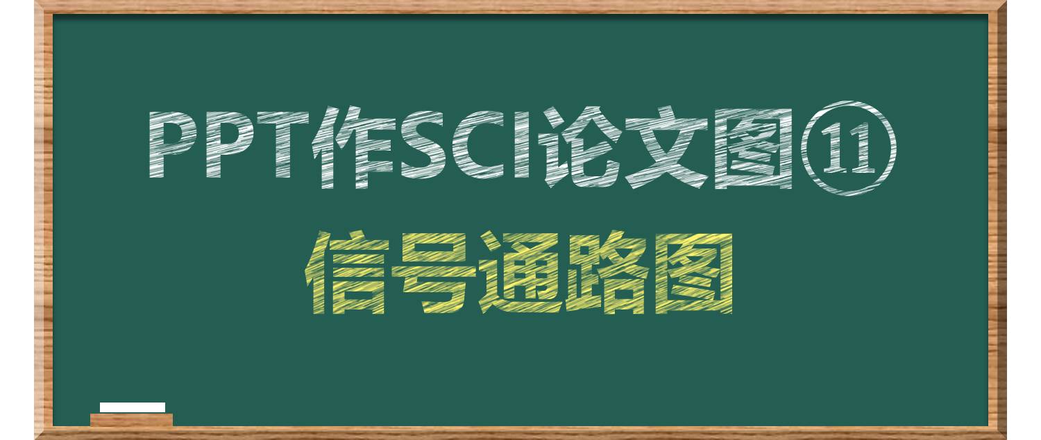 PPT科研作圖⑮——訊號通路圖