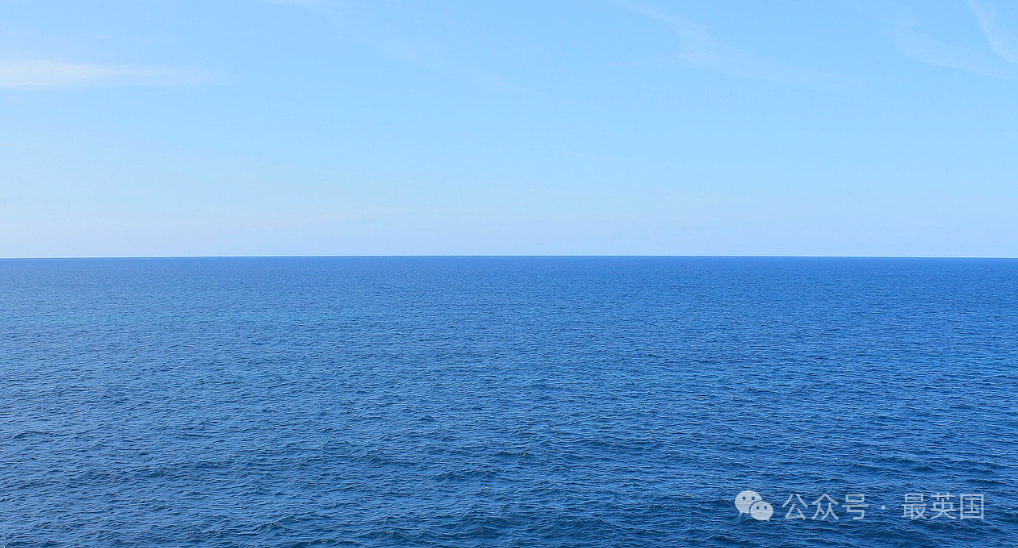 義大利男模海中游玩突然被“抱大腿”！剛想喊“非禮”，低頭後一整個驚呆…