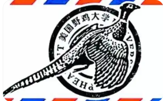公平、公平、還是公平！董小姐的私情與公憤