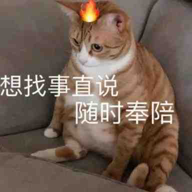 大s告汪小菲偷畫？這次出現卻被網友看臉斷病了…