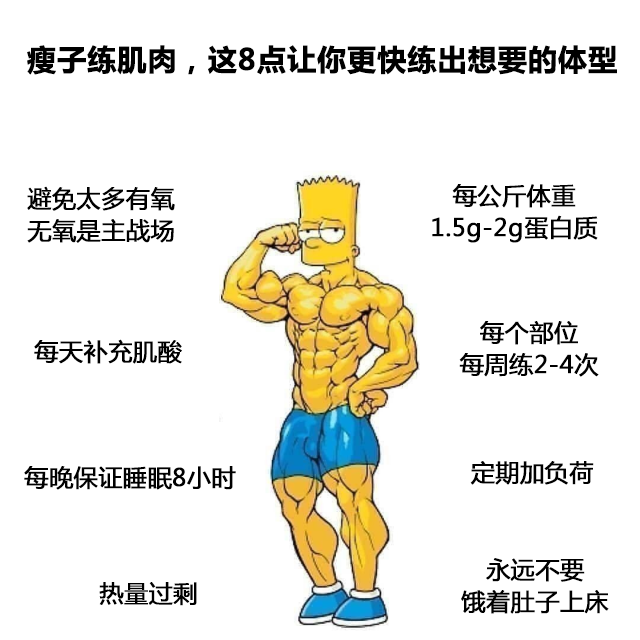 一張圖告訴你練肌肉的重點在哪裡！