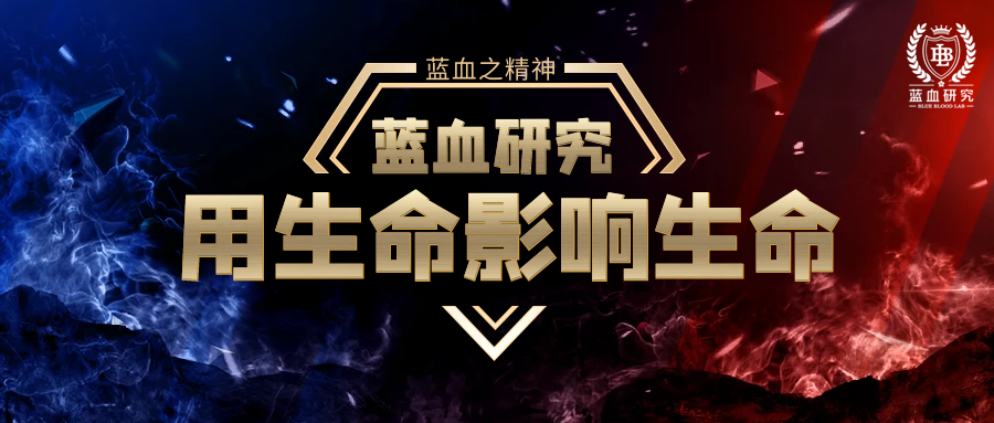 獨家揭秘鴻蒙之爭：高層激烈交鋒，任正非拍板，華為為何堅持“單框架”豪賭？